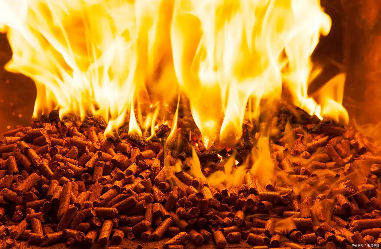 Biomass and Waste to Energy插图 biomass-burning