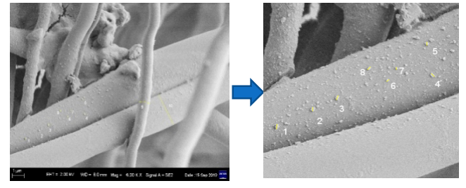 CeraCAT® Ceramic Catalytic Filter for dust removal (dedust), denitration (denox), desulfurization (desox) and dioxin elimination in gas treatment插图1 Nanocatalyst-impregnation-technology
